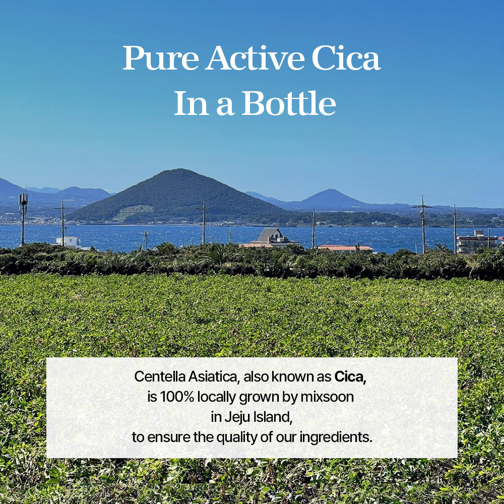Mixsoon Soondy Centella Asiatica Essence 100ml product image 5