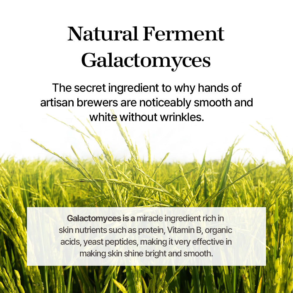 Mixsoon Galactomyces Ferment Essence 100ml product image 5