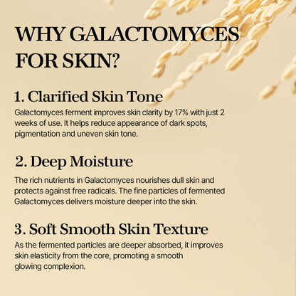 Mixsoon Galactomyces Ferment Essence 100ml product image 6