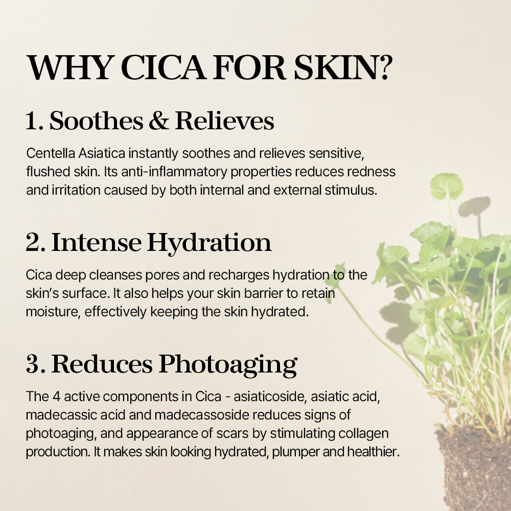 Mixsoon Soondy Centella Asiatica Essence 100ml product image 6