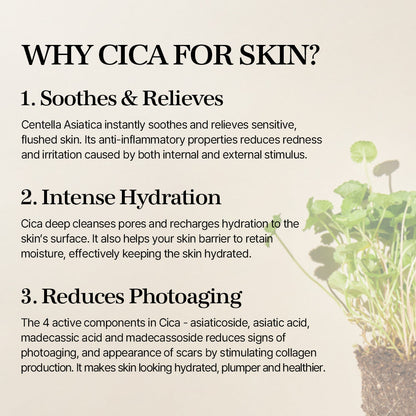 Mixsoon Soondy Centella Asiatica Essence 100ml product image 6