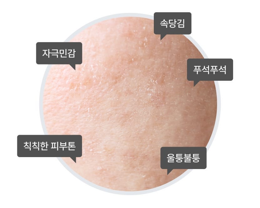 Celimax The Real Noni Energy Ampoule — product detail image 5